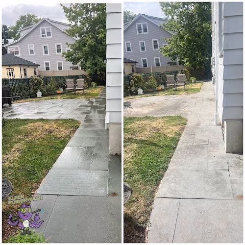 210853 rinse prince pressure softwashing