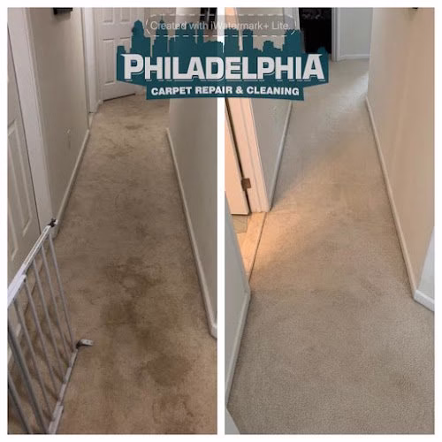211342 philadelphia carpet repair cleaning