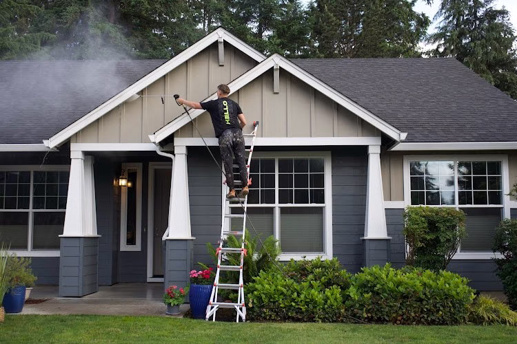 213279 hello painting of vancouver