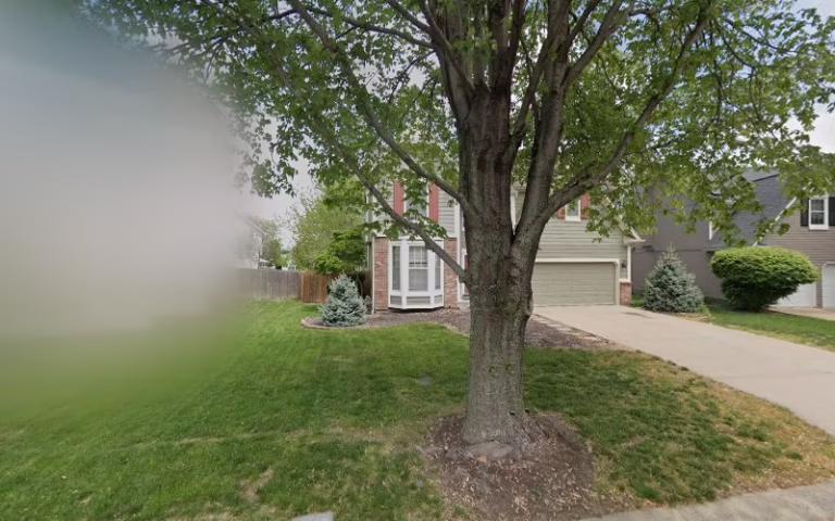 214006 precision painting 1 768x480