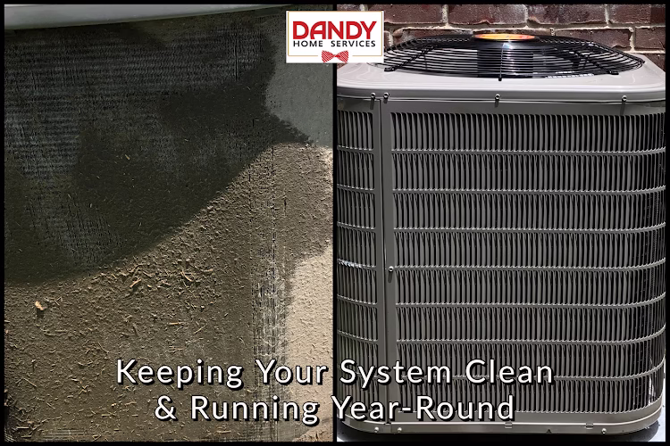 216040 dandy home services