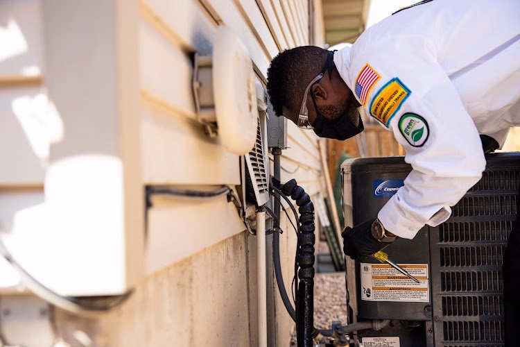 216111 whipple service champions