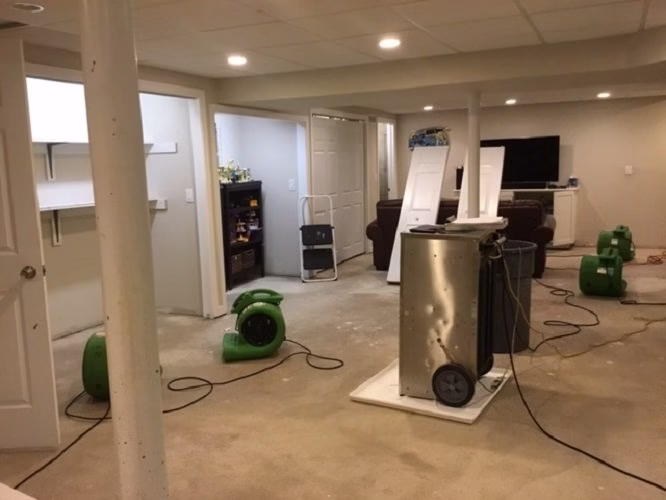 216542 servpro of new haven