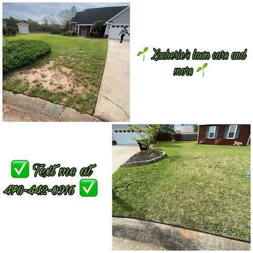 216875 zacheries lawn care llc