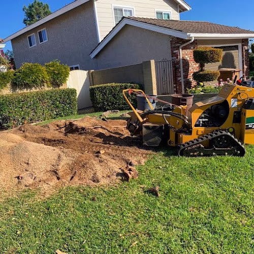 216914 mejias tree service