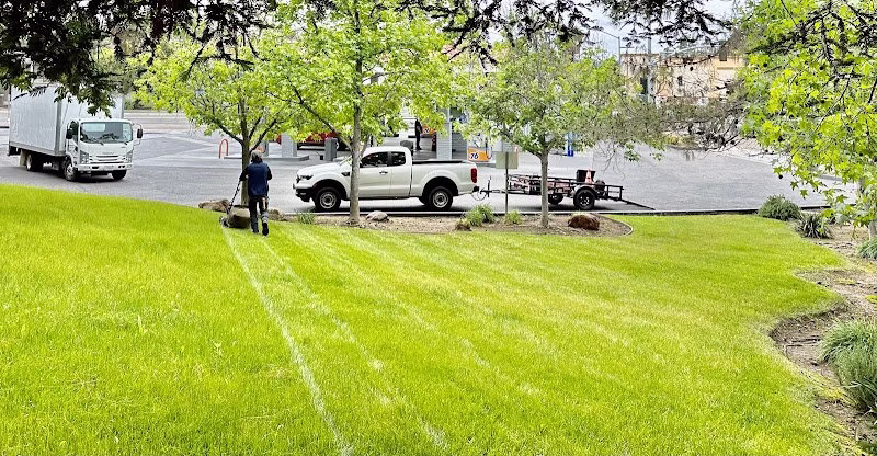 216920 active lawn care