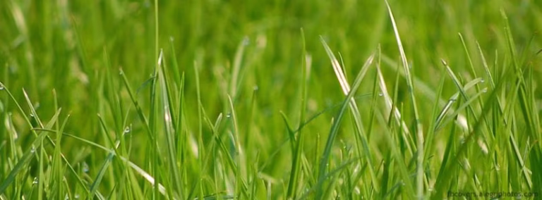 216992 huffys lawn care 768x284