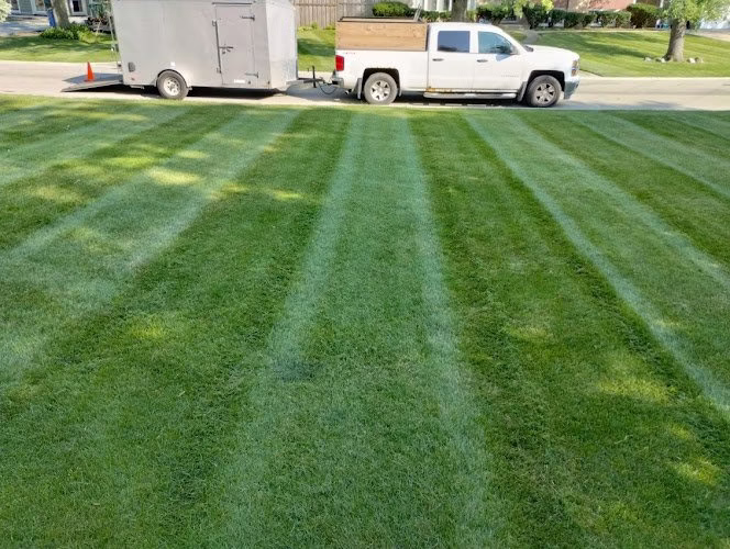 217058 s rivera landscaping