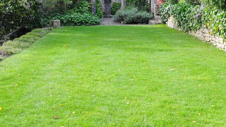 217112 forever green inc 768x432