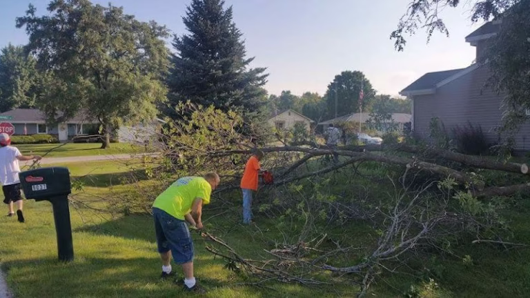 217129 morning wood tree service 768x432