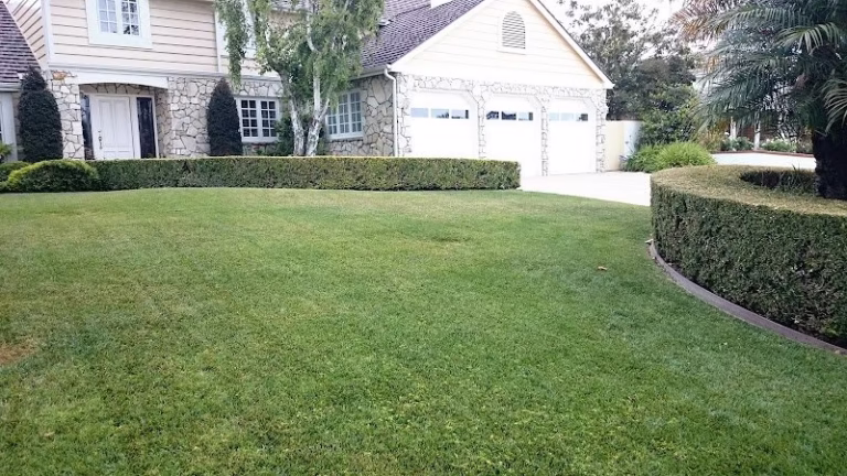 217223 casa verde landscaping garden service 768x432