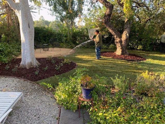 217227 franks artscaping inc