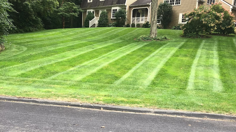 217267 life green lawn care llc