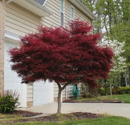 217271 pat ds lawn care and driveway sealcoating llc