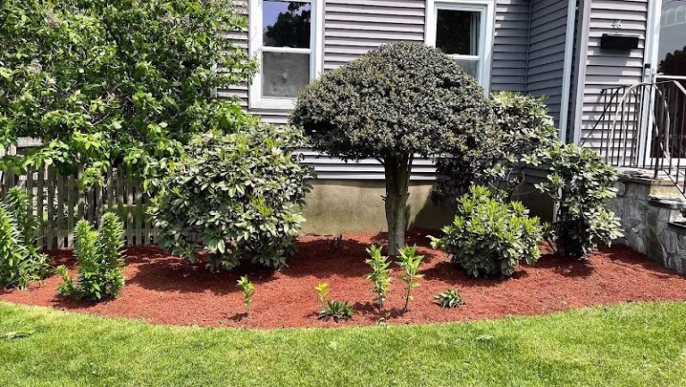 217274 galt lawn care landscaping llc 768x434