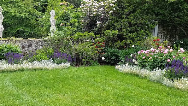 217281 mowgreen llc 768x432