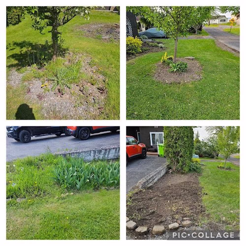 217375 five star finish