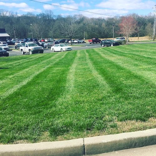 217504 premier turf management