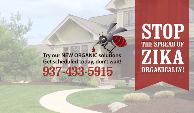 217539 country club landscaping 768x448