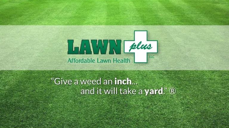 217559 lawn plus llc 768x432