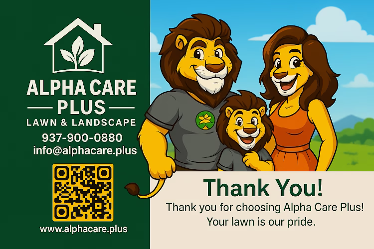 217584 alpha care plus lawn landscape llc
