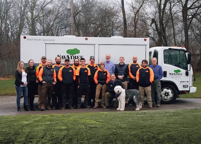 217604 savatree 8211 tree service lawn care