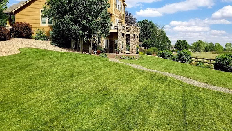 217673 epic lawn pro