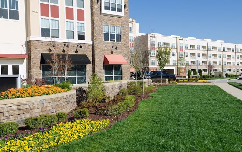 217675 young outdoor services