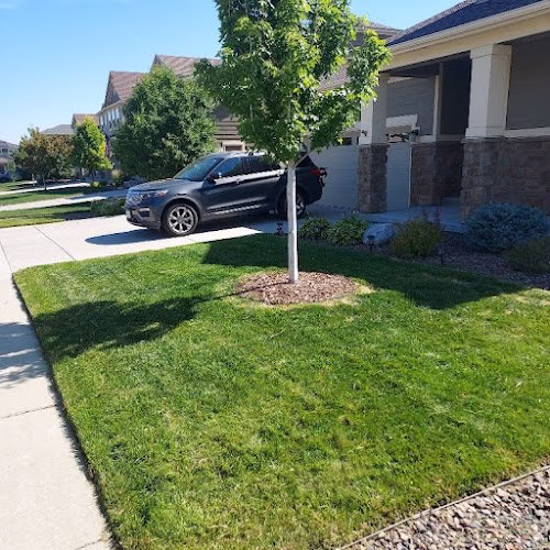 217679 augusta lawn care and christmas lights