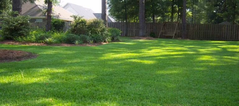 217685 a 1 lawn service 768x342