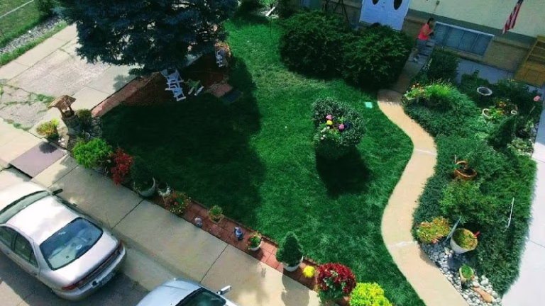 217694 drummerboys dreamscapes 768x432