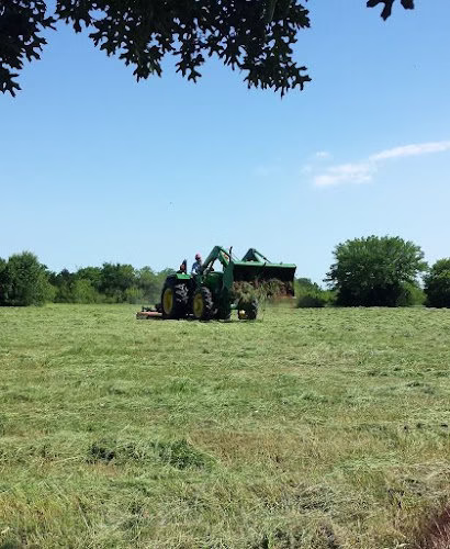 217743 2 green gos tractor mowing co