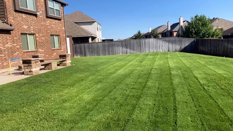 217755 lawn care junkies 768x432