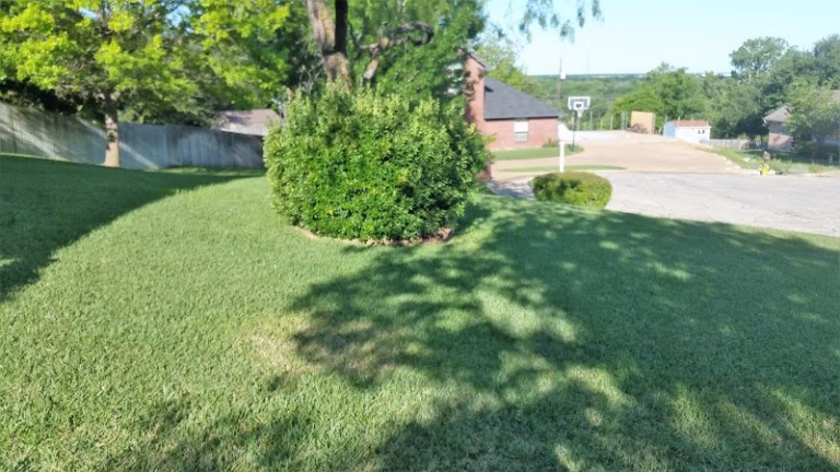 217787 texas lawnman 768x432