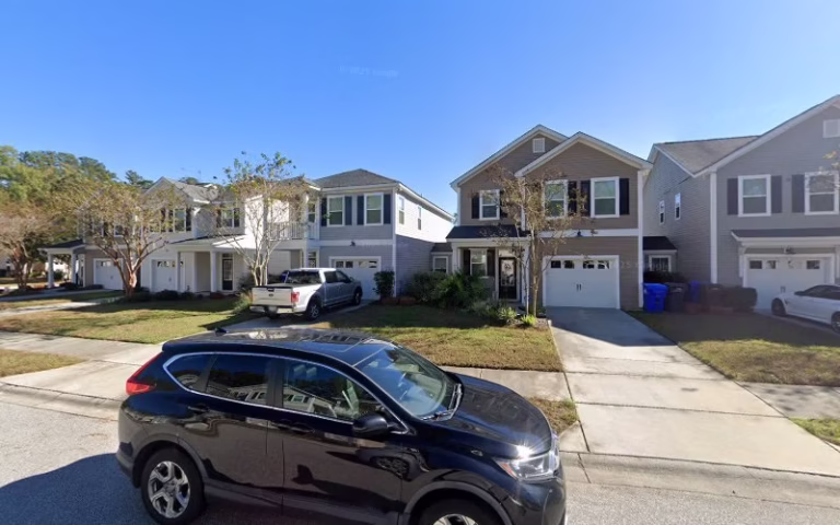 217866 palmetto rose lawn care 1 768x480