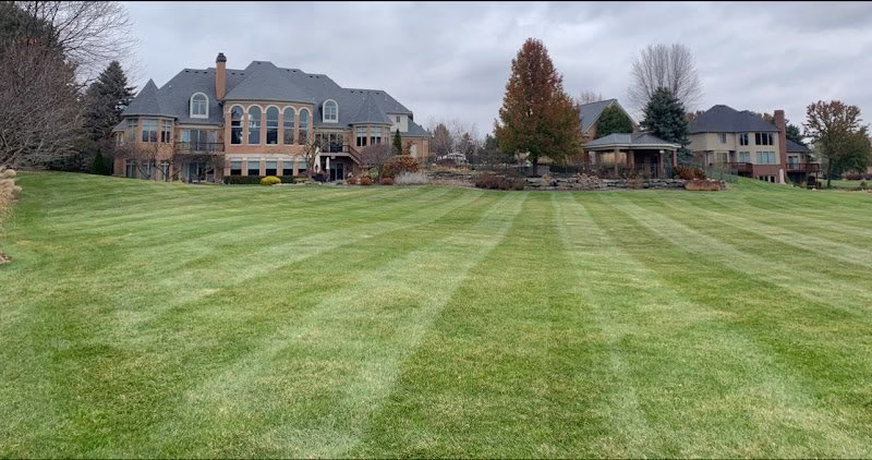 217903 platinum lawn service landscaping