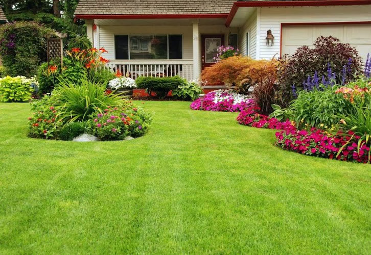 217979 theos lawn maintenance