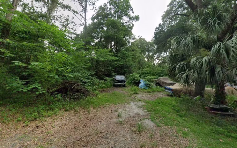 218015 arborscape tree beautification 1 768x480