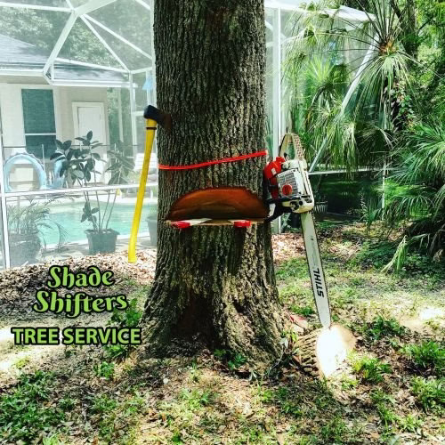 218020 shade shifters tree service