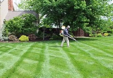 218104 palmetto pros lawn care