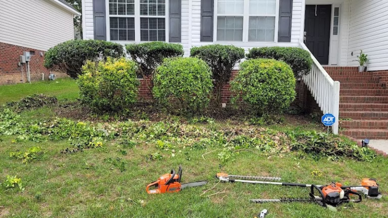 218118 do good lawn care 768x432