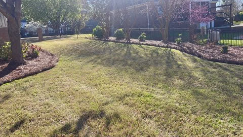 218136 gordon lawn care services