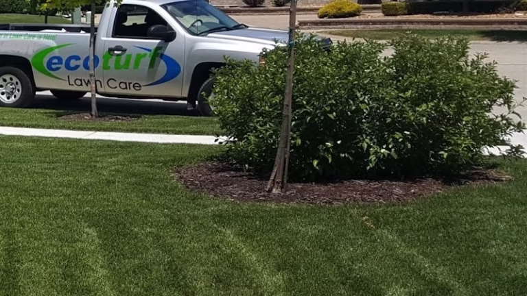 218199 ecoturf lawn care 768x432