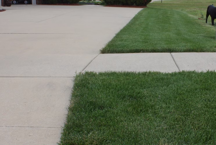 218215 master gardener fertilizing