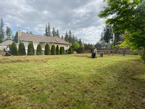 218345 prof brothers landscaping llc