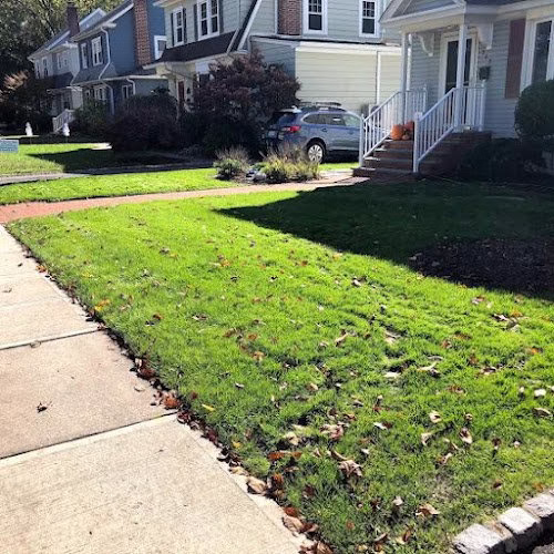 218392 green roots organic