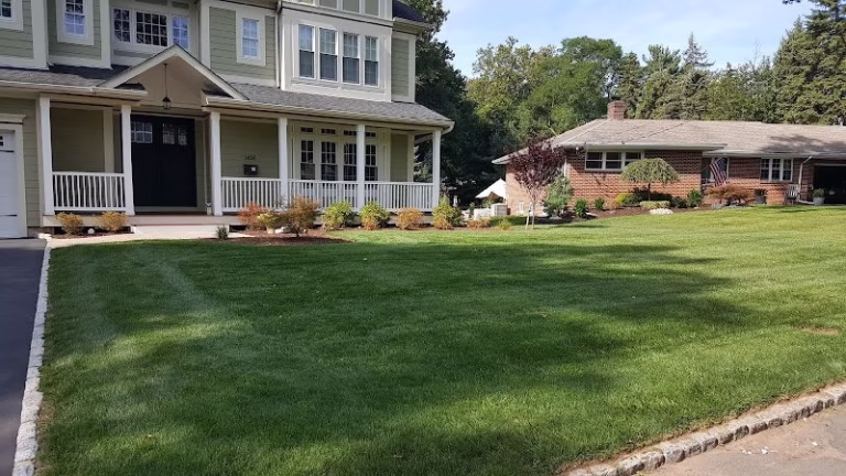 218394 pro green lawn care 768x432