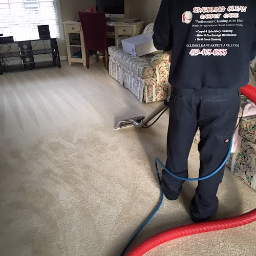 218551 sparkling clean carpet care