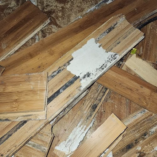 219392 restorations of america