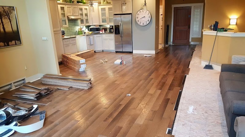 219613 mk ultra remodeling